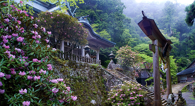 語り部と行く玉置神社正式参拝ツアー